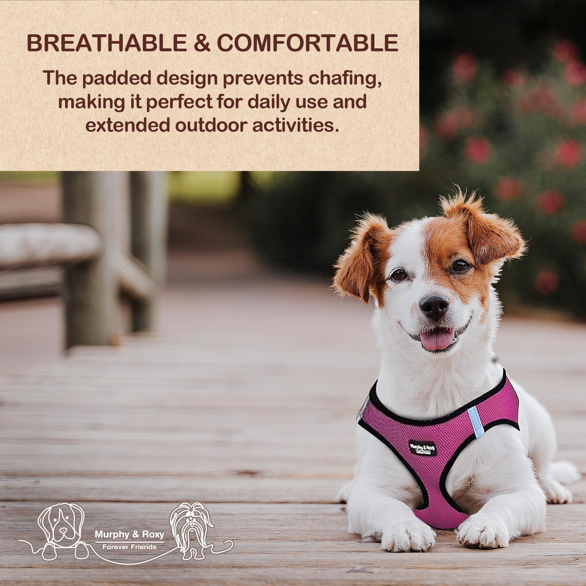 Murphy & Roxy No-Pull Harness pink reflective trim for night safety.