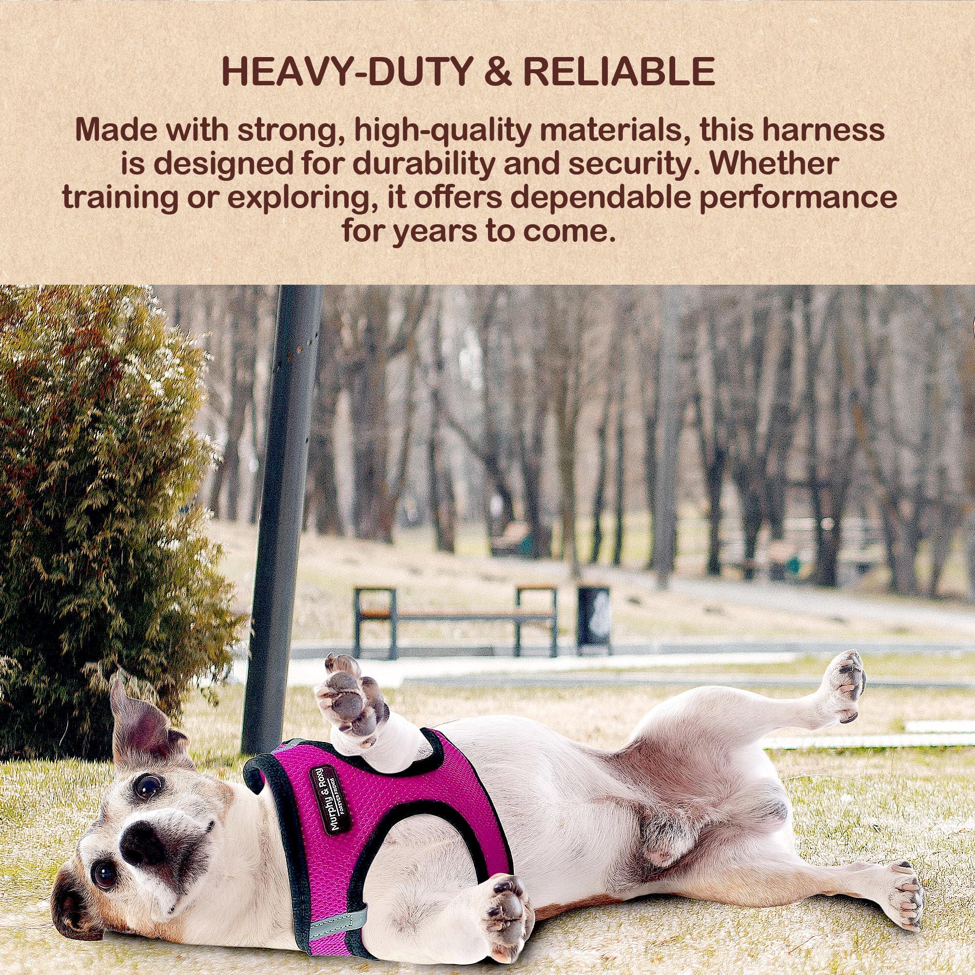Murphy & Roxy No-Pull Harness pink size S breathable mesh keeps dogs cool.