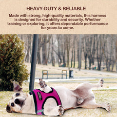 Murphy & Roxy No-Pull Harness pink size S breathable mesh keeps dogs cool.