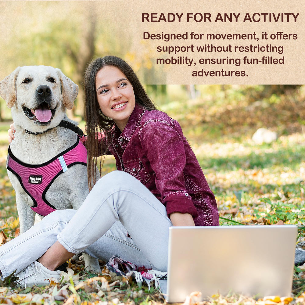 Murphy & Roxy No-Pull Harness pink ideal for easy daily walks.
