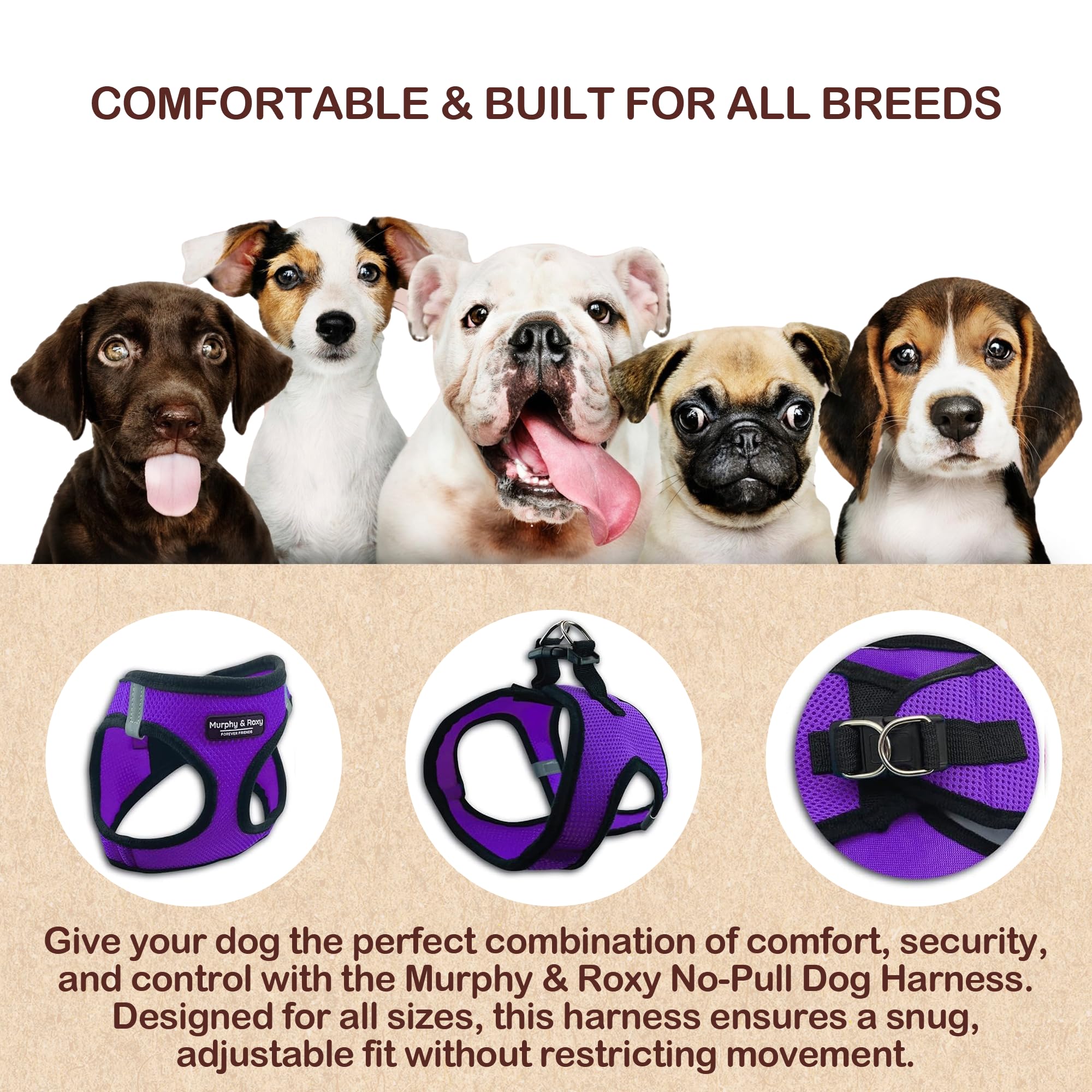 Murphy & Roxy No-Pull Harness purple color size small is easy to spot outdoors.