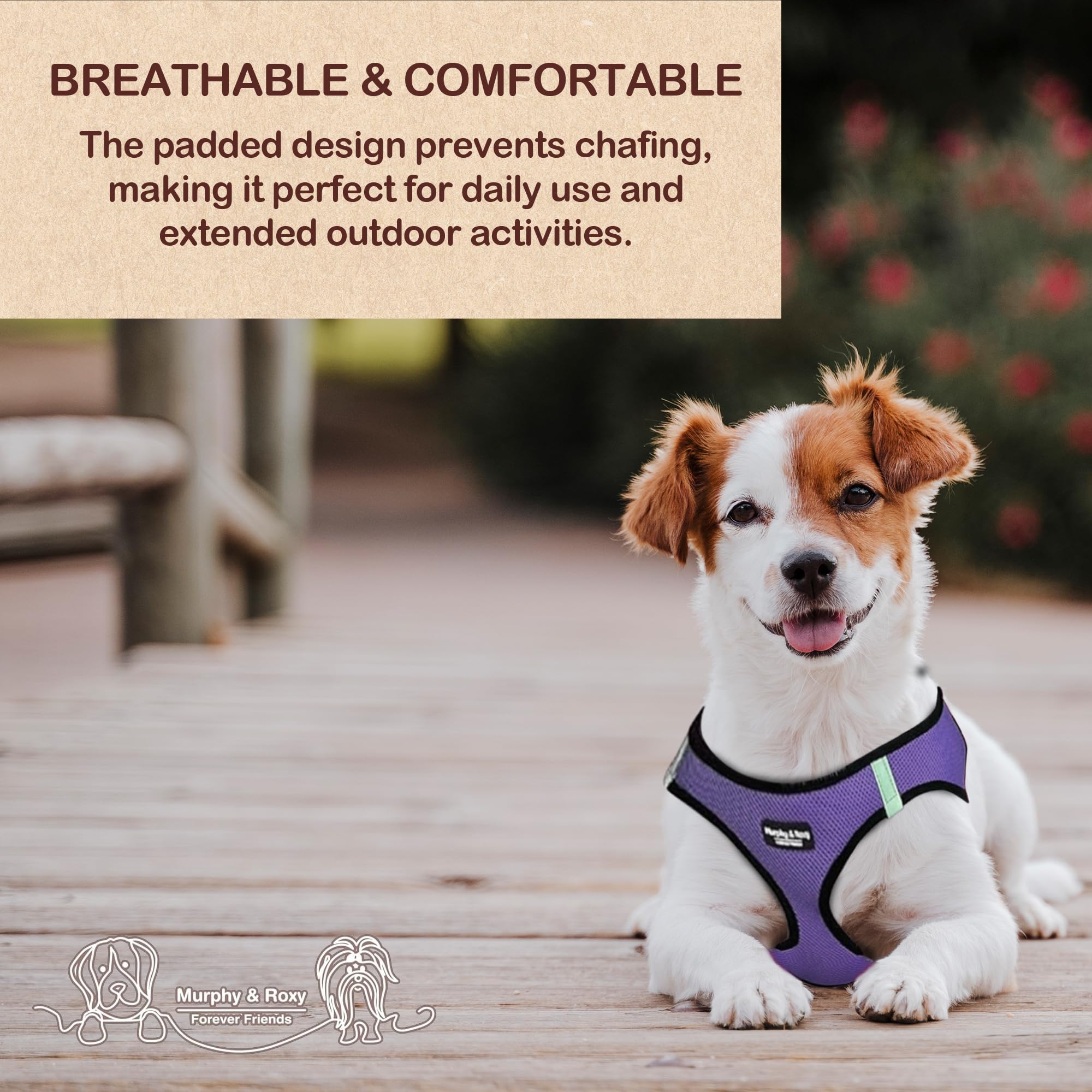 Murphy & Roxy No-Pull Harness secure adjustable straps for a snug fit