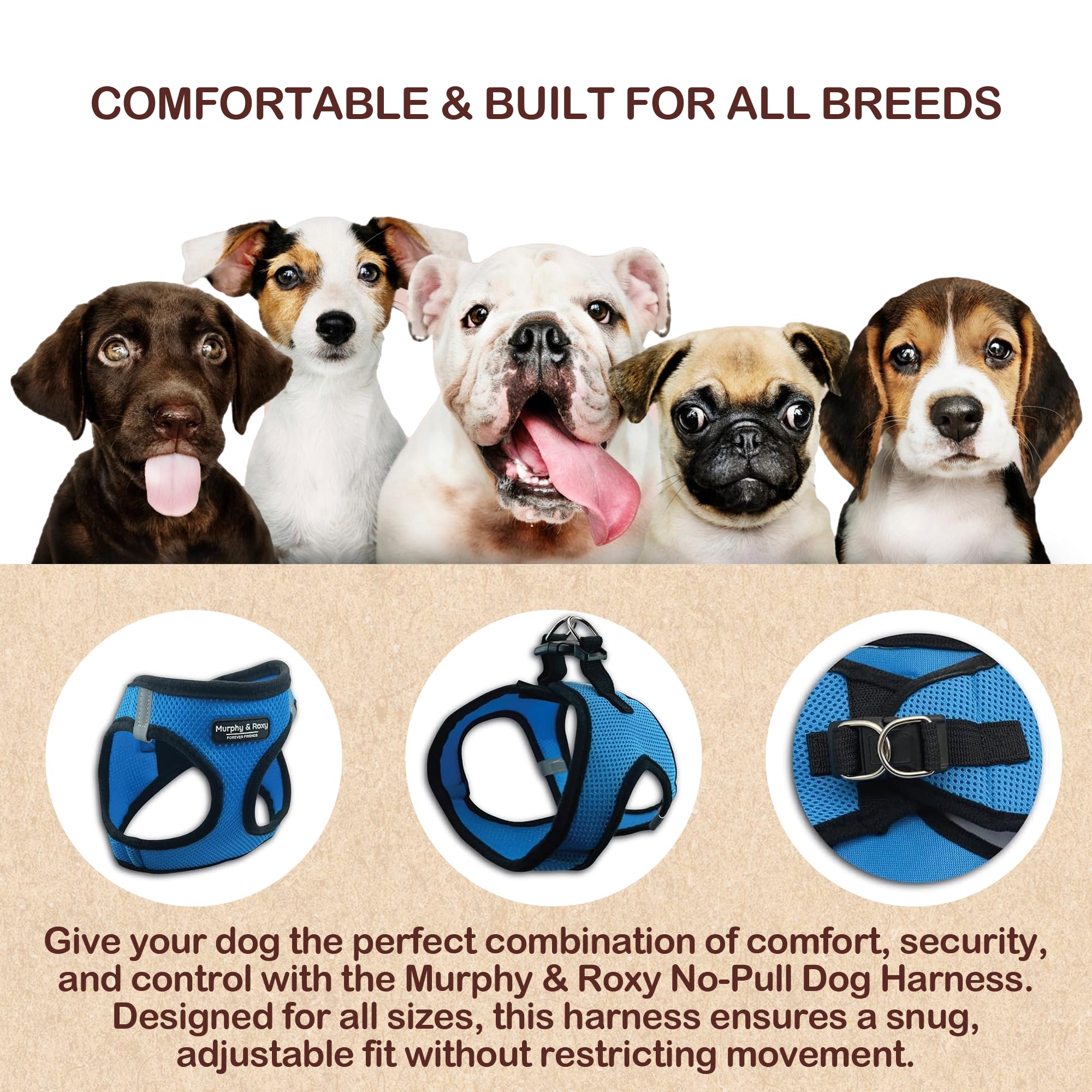 Murphy & Roxy Padded harness for daily use with gentle support during running