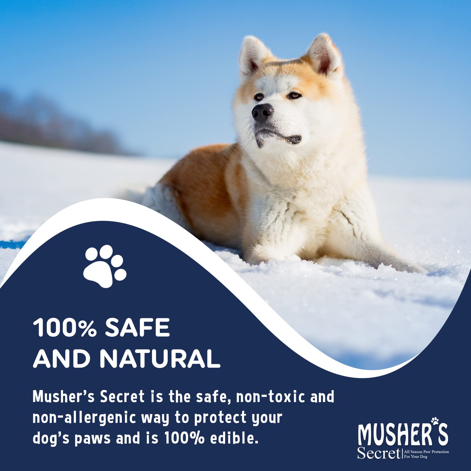 Musher's Secret paw wax texture close-up emphasizes gentle, protective layer.