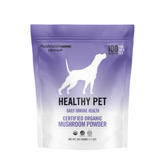 Mushroom Matrix healthy pet daily immune powder supports energy and vitality.
