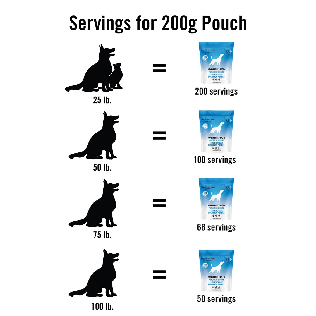 Mushroom Matrix Maximum Recovery cat-serving showcases simple addition to cat meals.