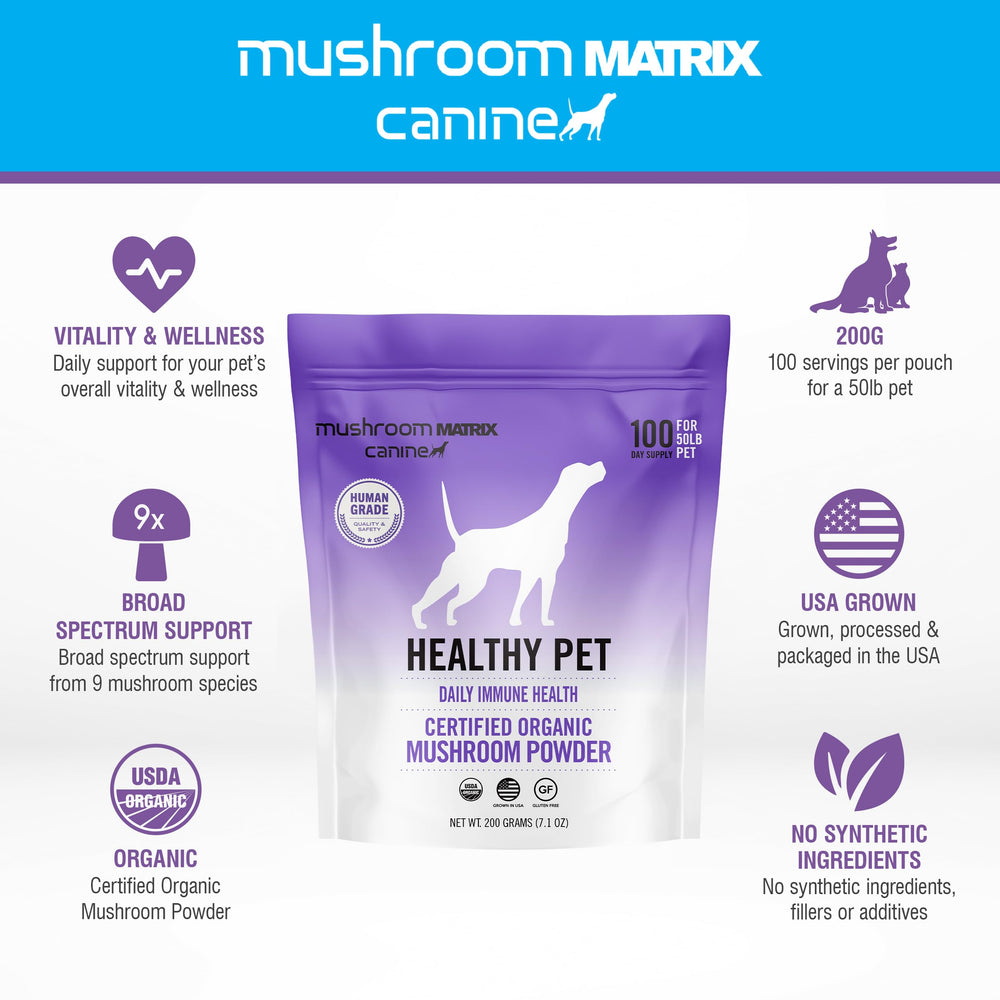 Mushroom Matrix pet dosing spoon showing precise 1 gram measure.