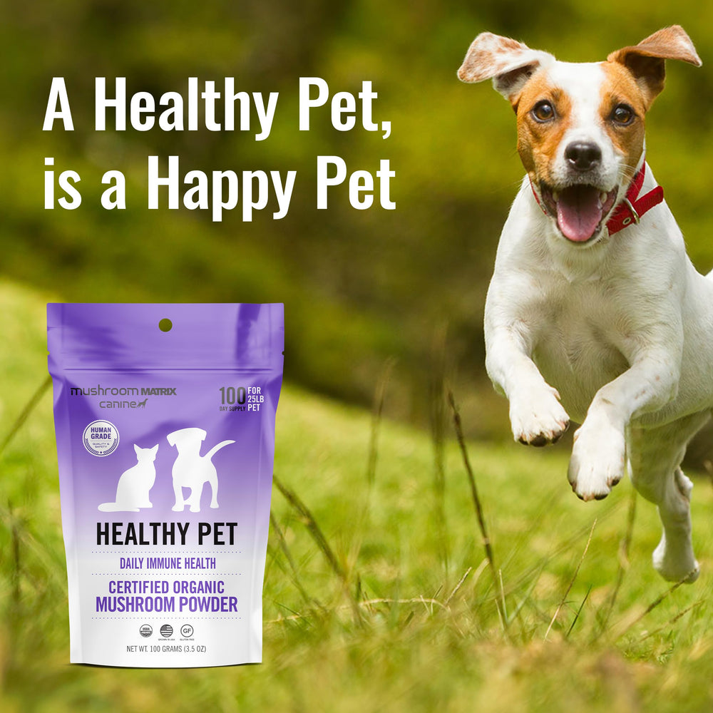 Mushroom Matrix pet meal being mixed illustrates easy add-to-food use.