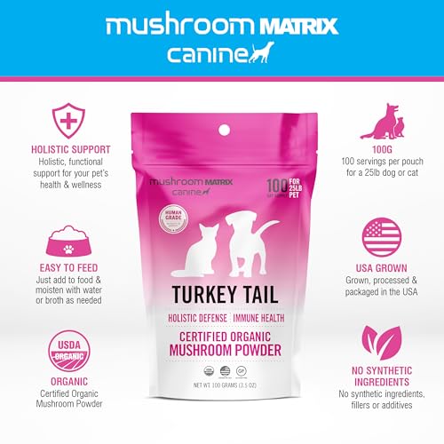 Mushroom Matrix turkey tail powder being poured into pet food for easy mixing.