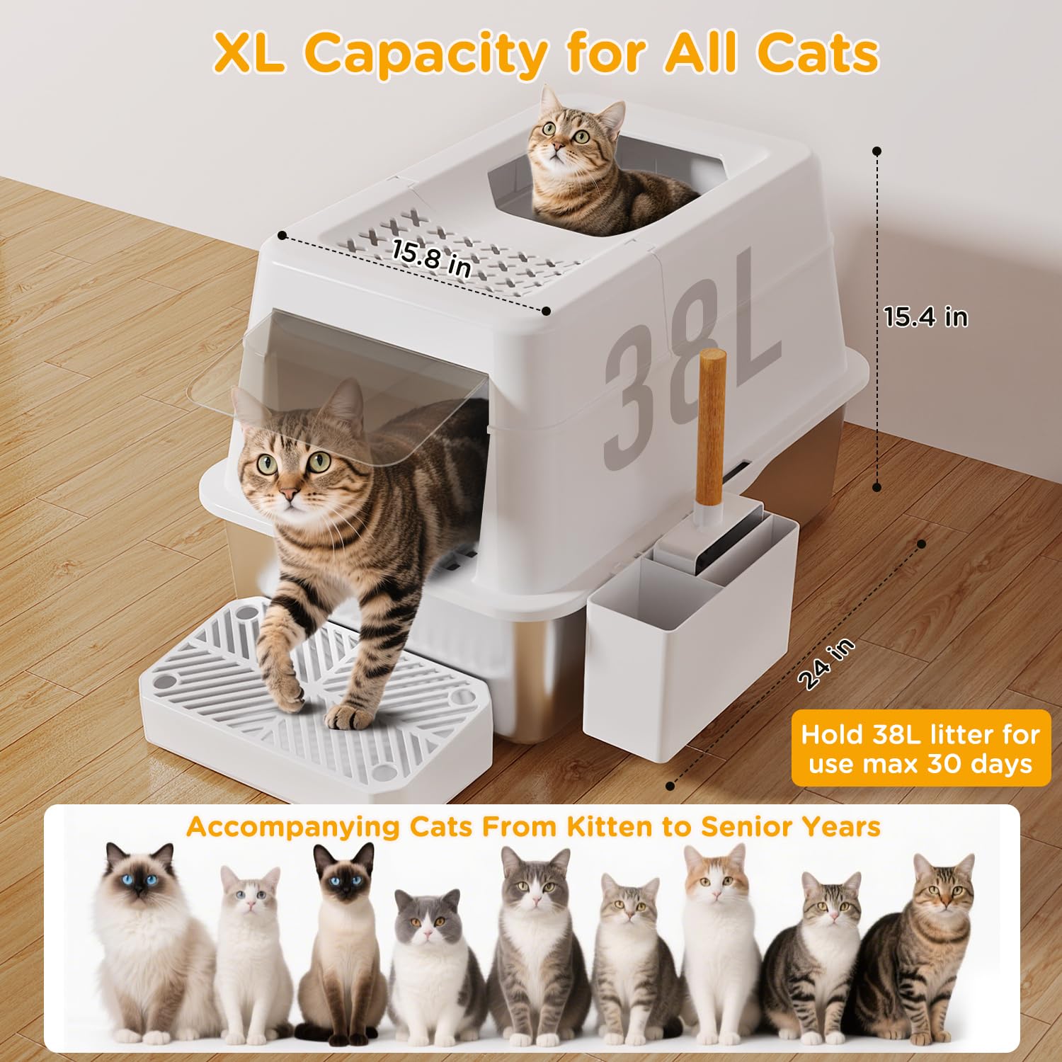 Mutrelenx 24-inch interior offers roomy space for large cats and multi-cat homes.