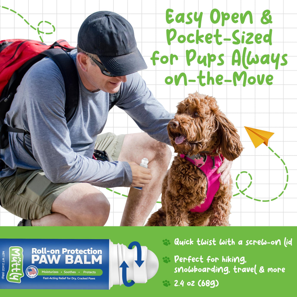 Muttly Paw Balm on hot pavement scenario guards paws from heat