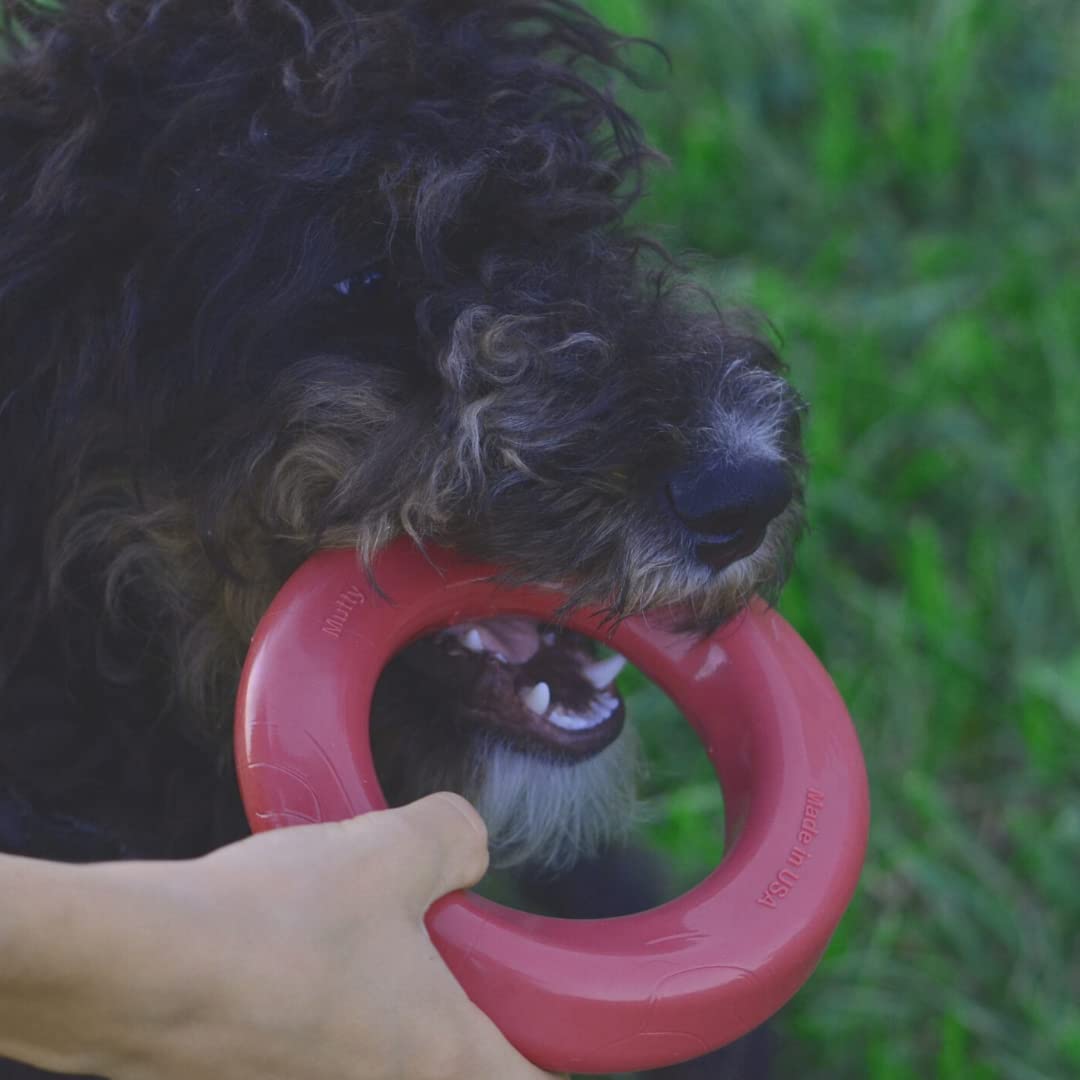 Mutty Dog Chew Ring beside a water bowl suggests easy cleaning after play.