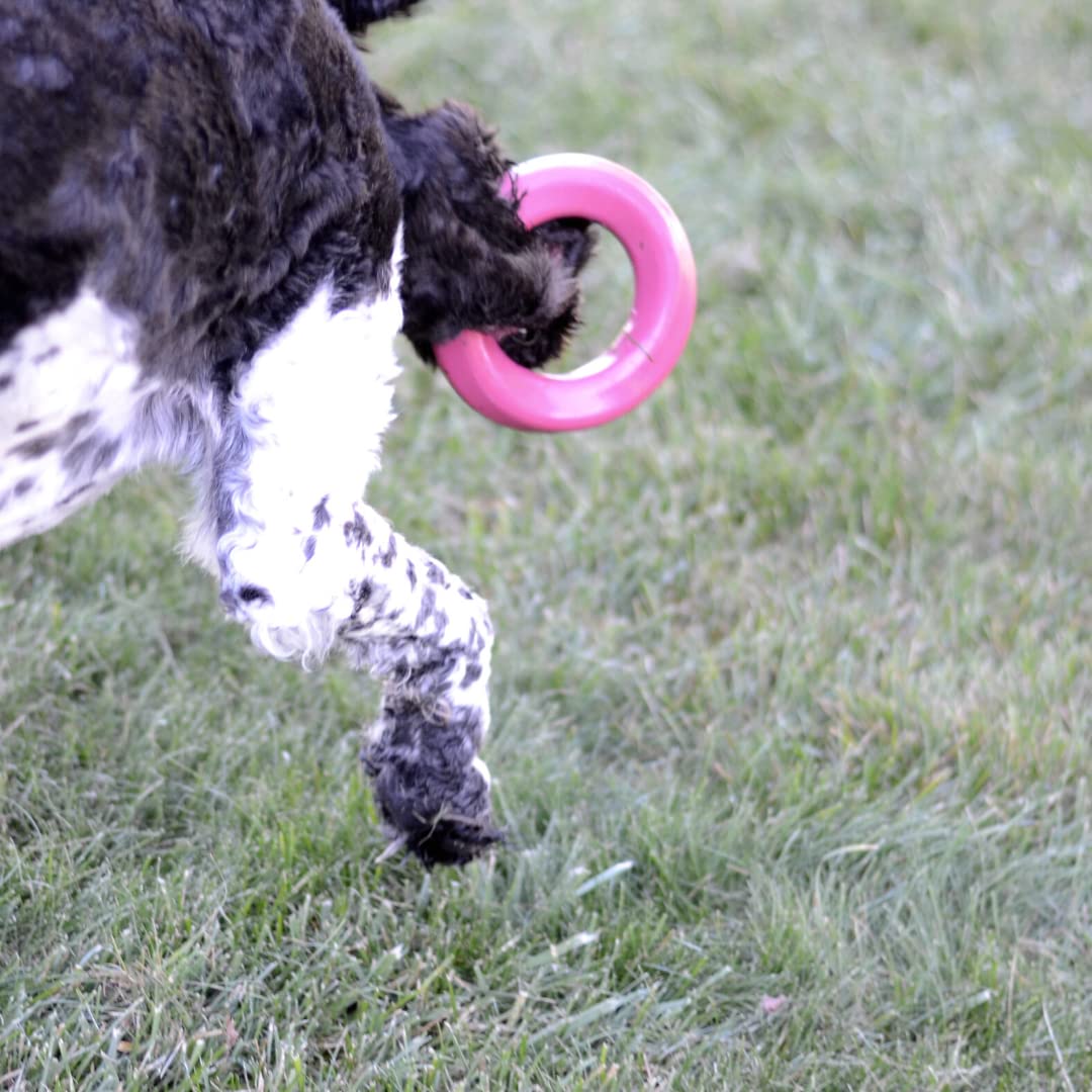 Mutty Dog Chew Ring in action with a playful pup demonstrates focused play.