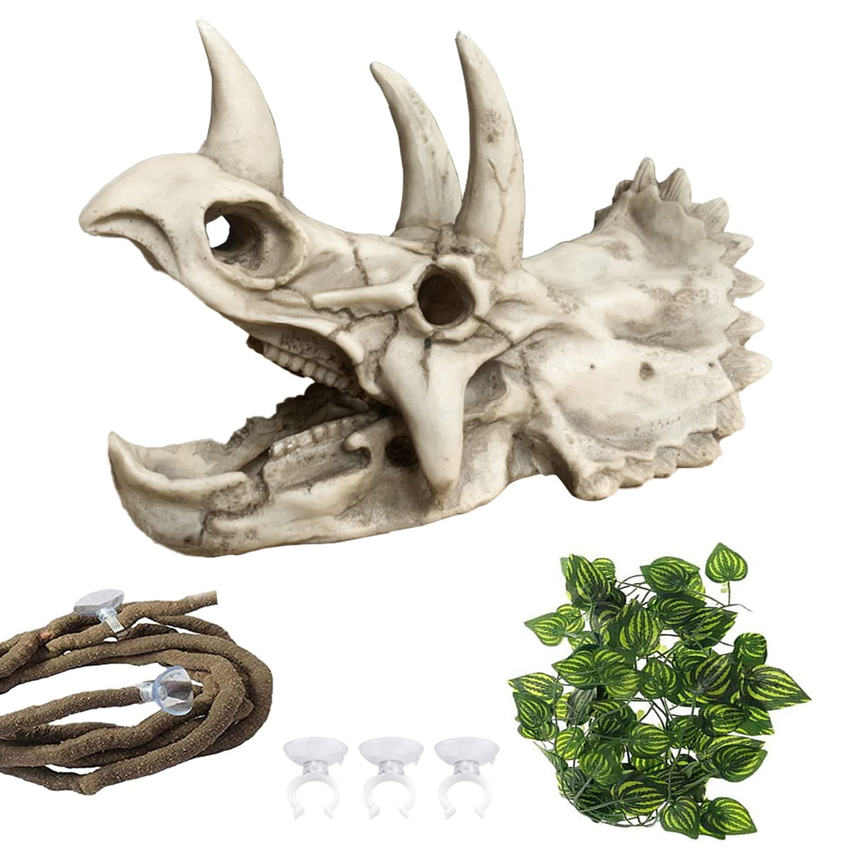 MUYG Bearded Dragon resin Triceratops skull close-up shows realistic texture for enrichment