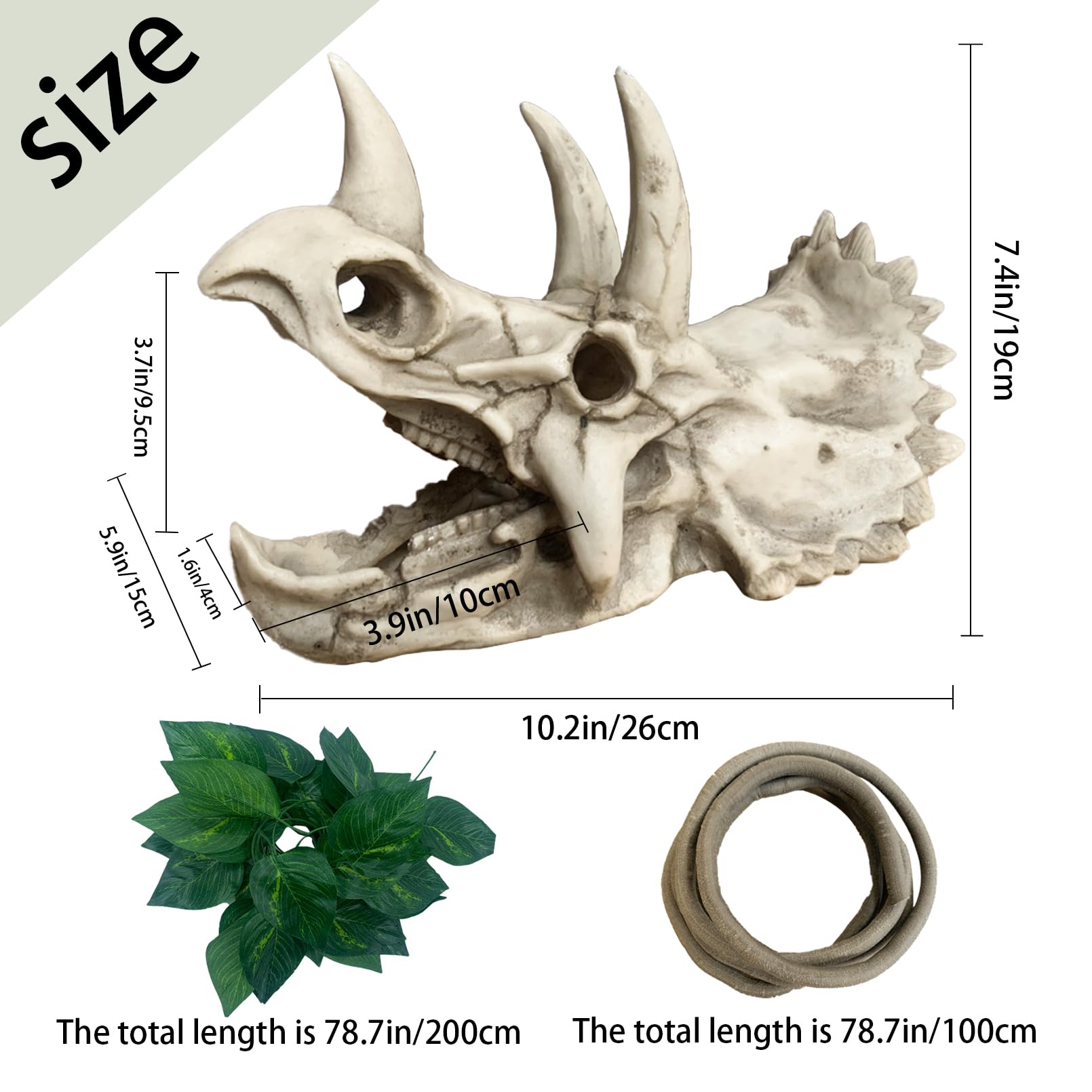 MUYG Bearded Dragon resin Triceratops skull hide-in-tank in terrarium setting