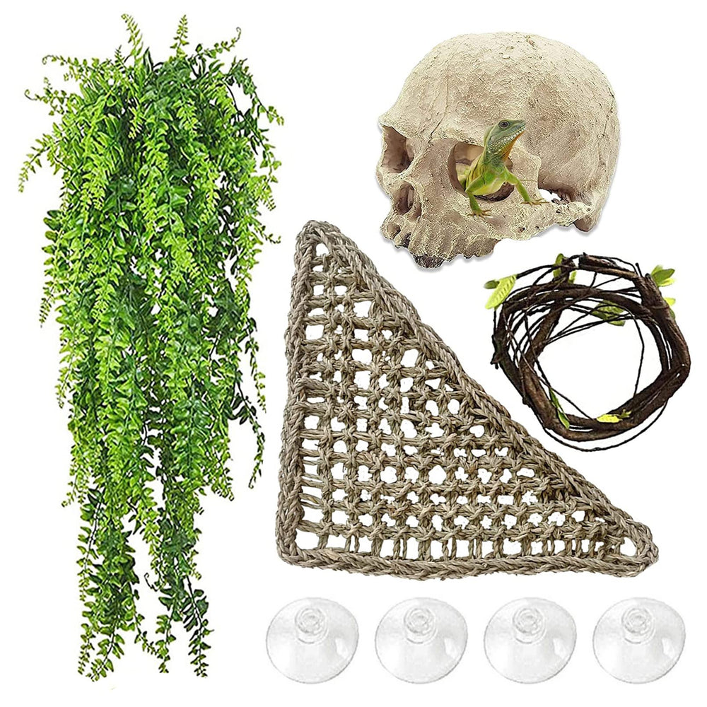 MUYG bearded dragon skull hide decor creates a natural hiding spot and focal terrarium feature.