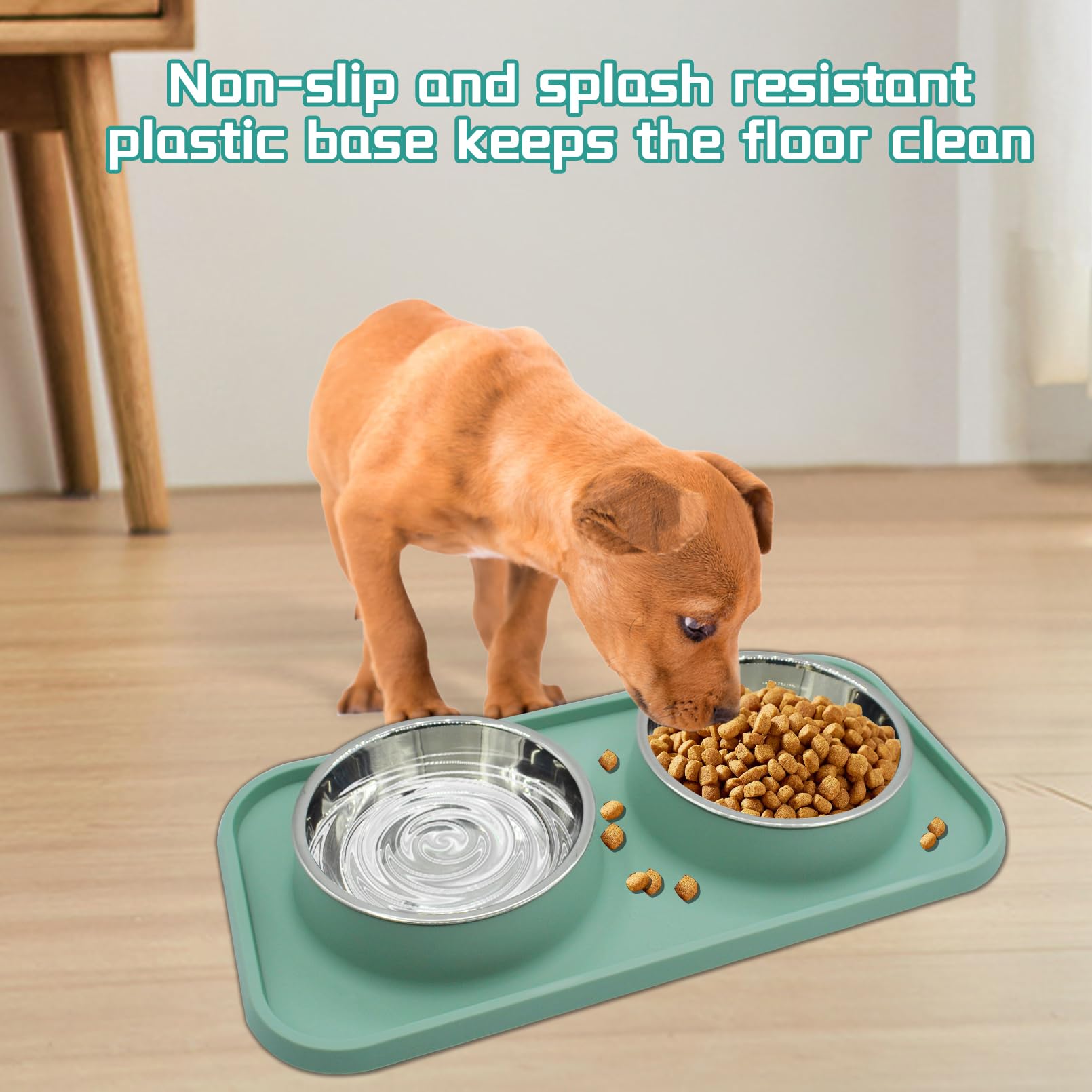 MUYG blue color option suits small dog feeding stations