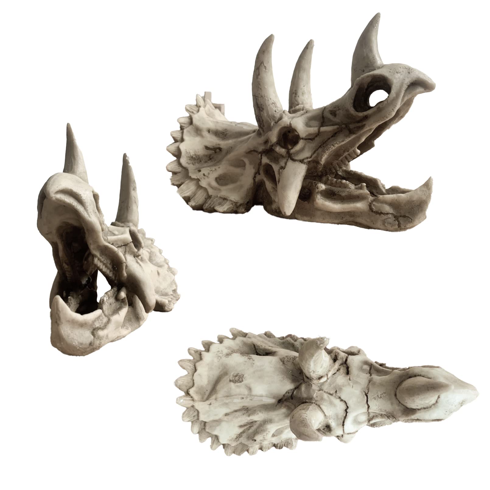 MUYG Bearded dragon tank size reference aids in selecting a suitable fit