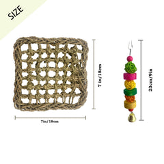 MUYG foraging wall toy with 31 hooks encourages exploration and toy variety for parrots