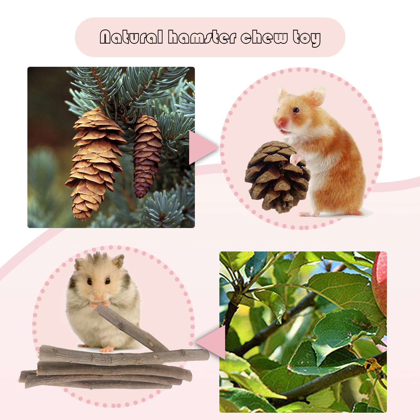 MUYG hamster tunnel setup encourages safe playtime and exercise