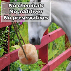 MUYG Himalayan salt lick in barn shows stress-free enrichment for deer, cattle, and goats
