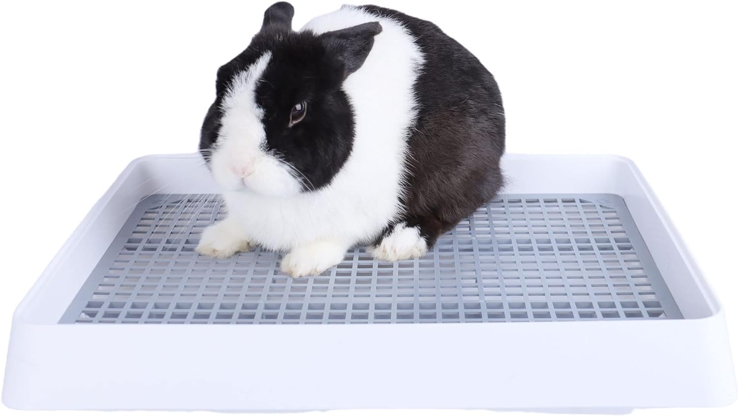 MUYG rabbit litter box dimensions 15-1 by 12-2 inches for spacious use