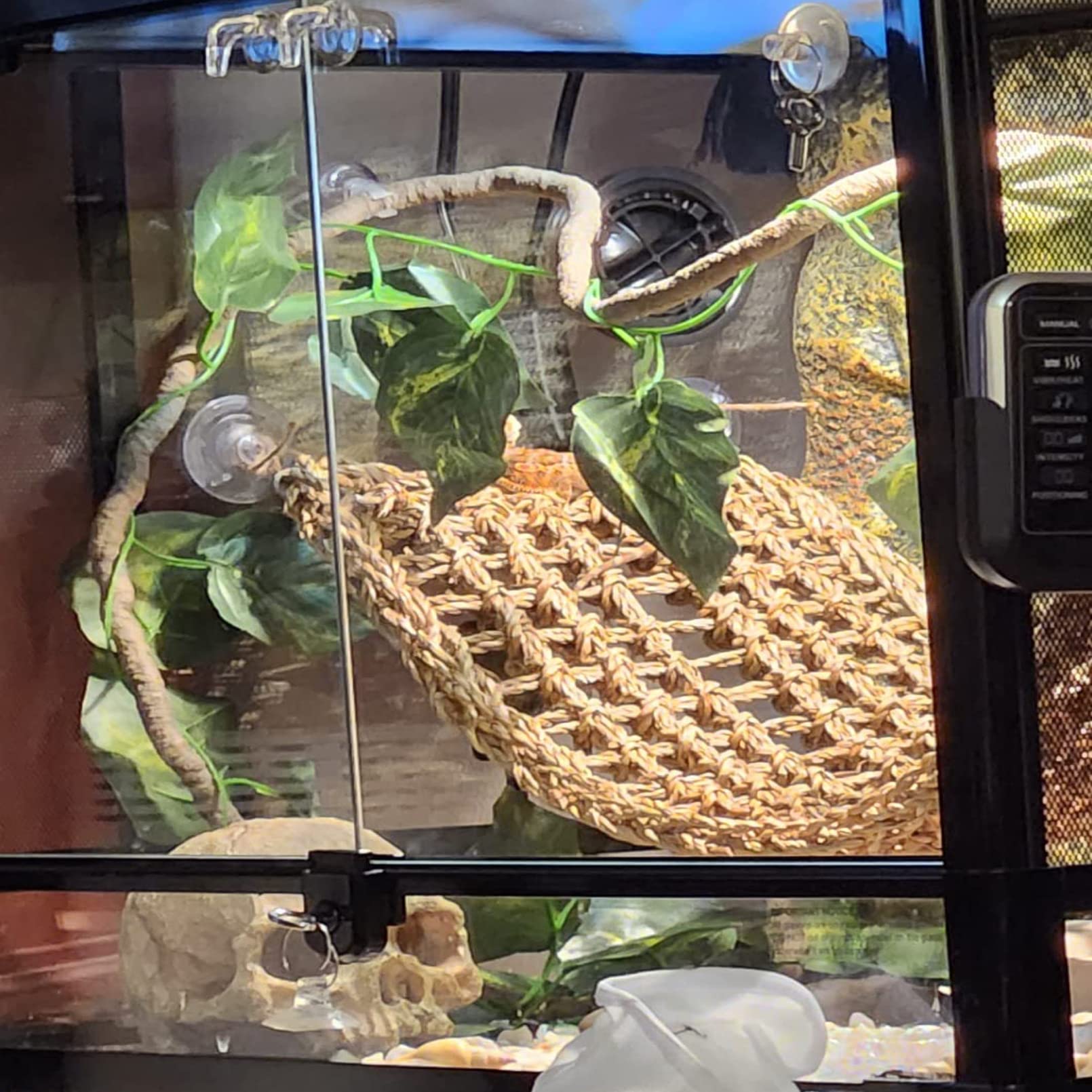 MUYG reptile habitat package includes 4-piece enrichment set.