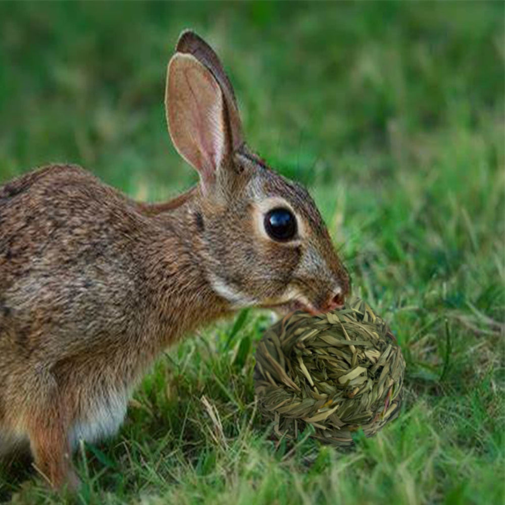 MUYG stress-relief chew ball detail suggests calming play opportunities.