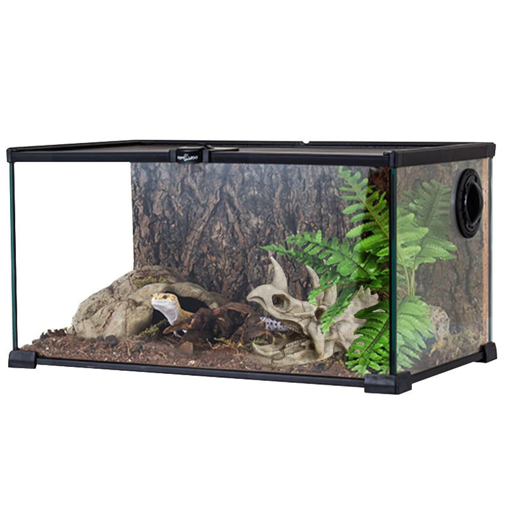 MUYG Suction cup buckle keeps hides secure in active enclosures