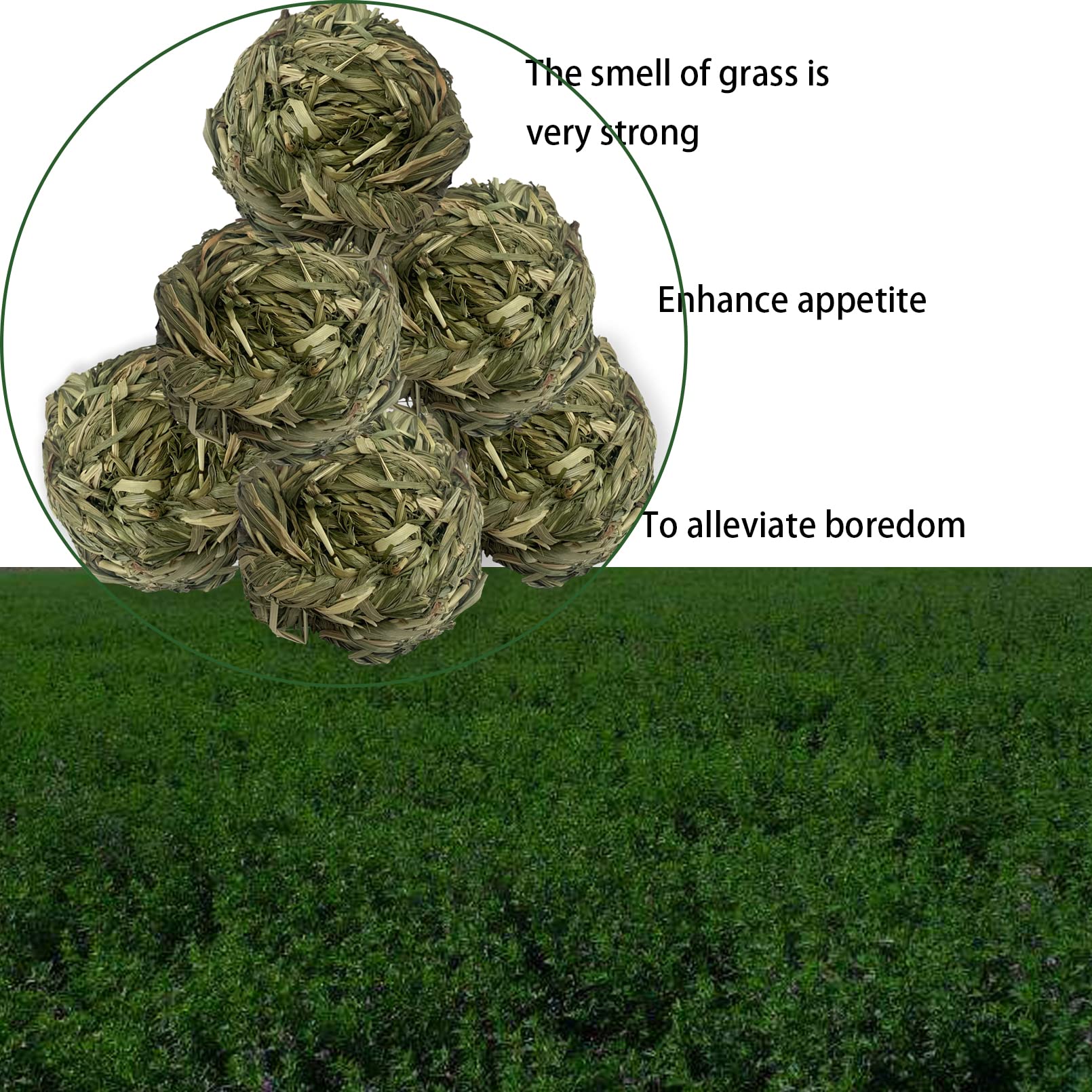 MUYG Timothy grass ball 3inch size fits compact habitats.