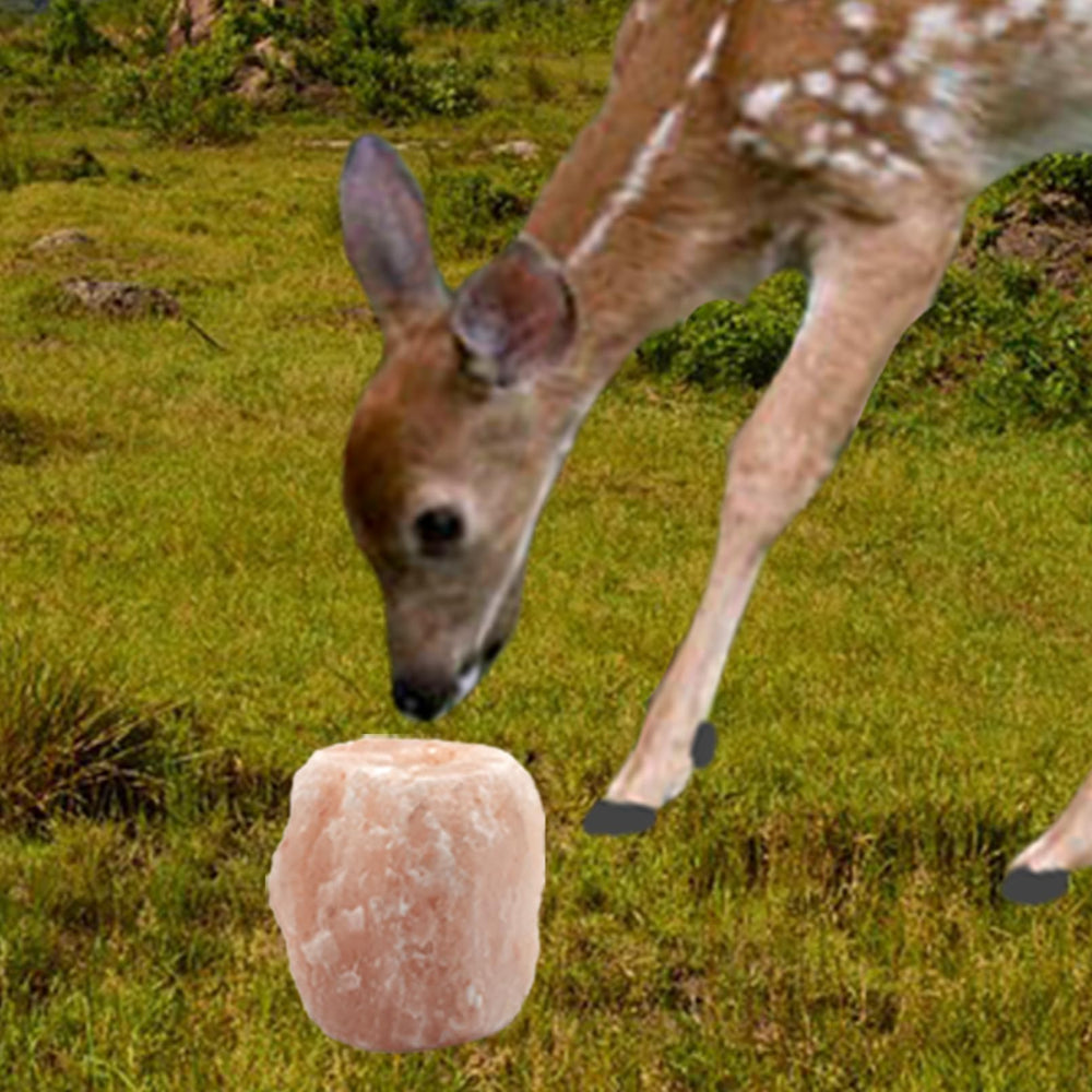 MUYG two-pack Himalayan salt licks ensures long-lasting mineral access for herd.