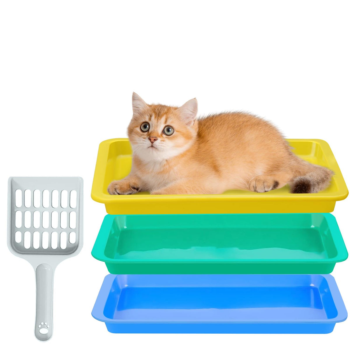 MUWUZOYT kitten litter box set in three colors, compact travel-ready front view