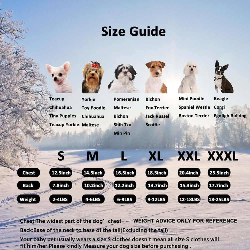 MuYaoPet photo shoot friendly dog jacket for casual outings
