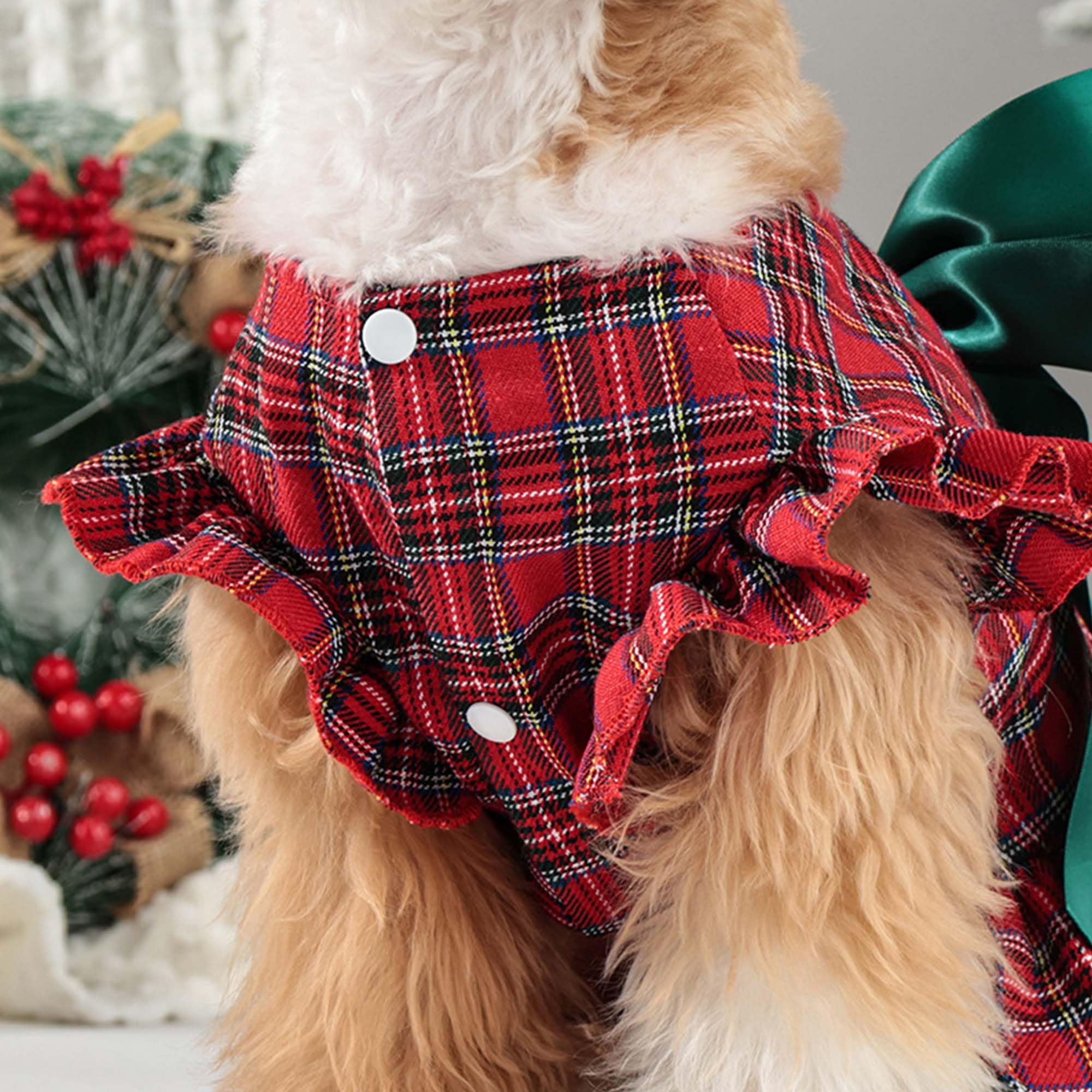 MuYaoPet plaid dress worn during holiday photo session for festive memories.