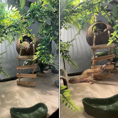 MUYG gecko coconut husk hut hide offers a cozy retreat and temperature access.
