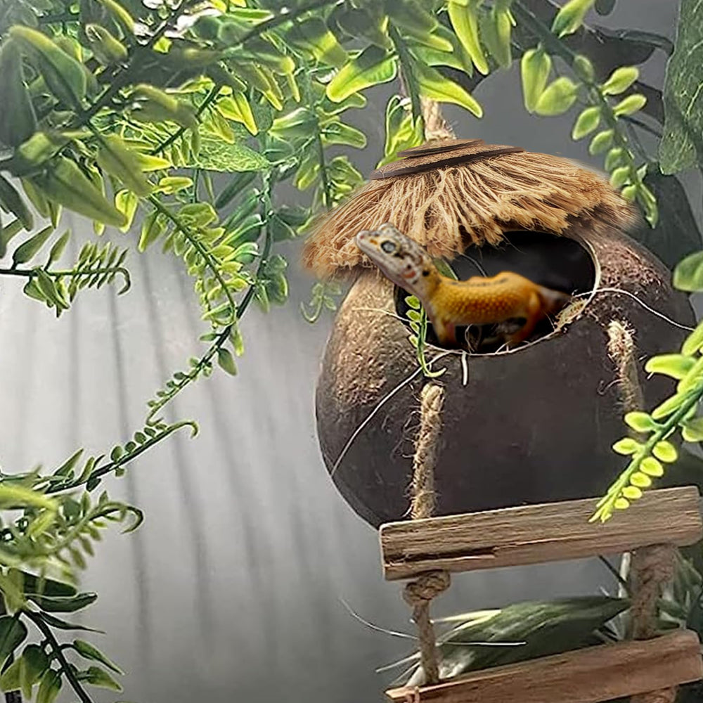 MUYG gecko tank square hammock offers secure resting spot