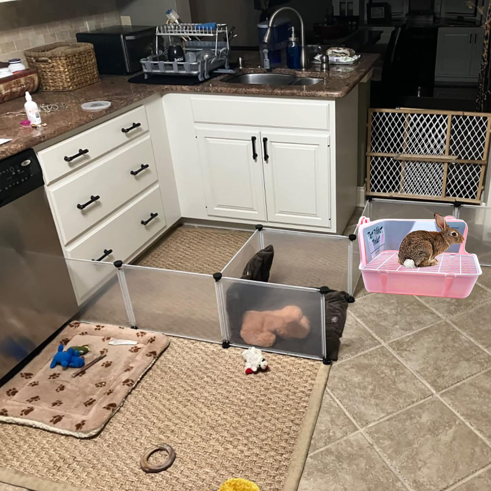 MUYG grass cakes and alfalfa lollipop add tasty variety