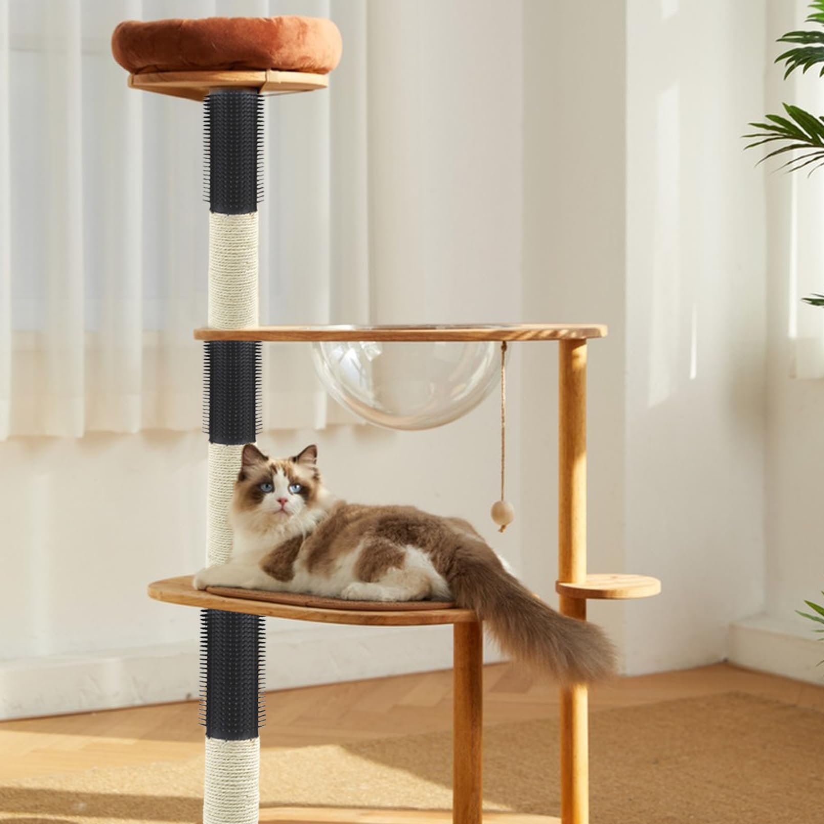 MUYG indoor-cat setup with this post helps reduce furniture wear.