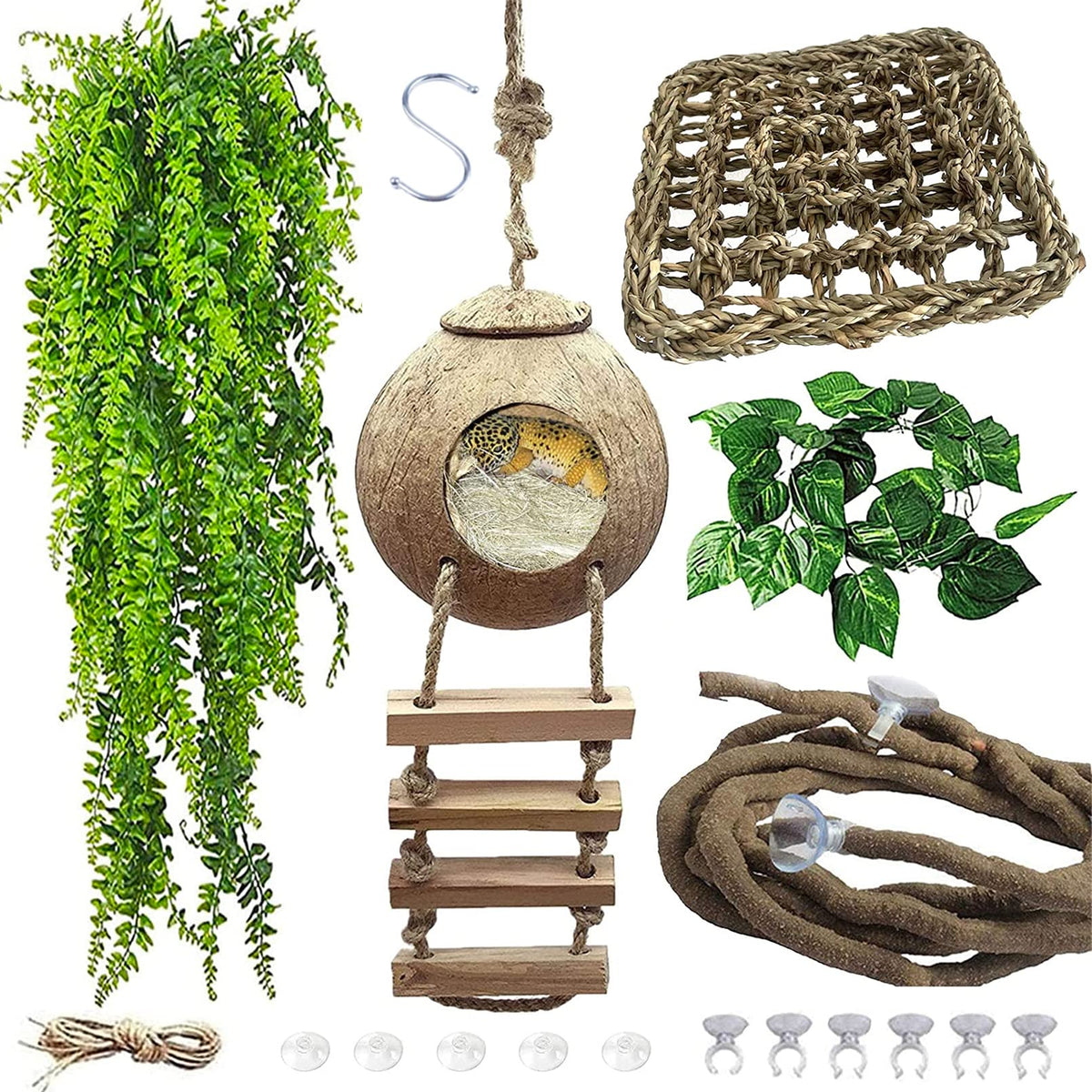 MUYG lizard coco den ladder provides easy climbing enrichment for reptiles.