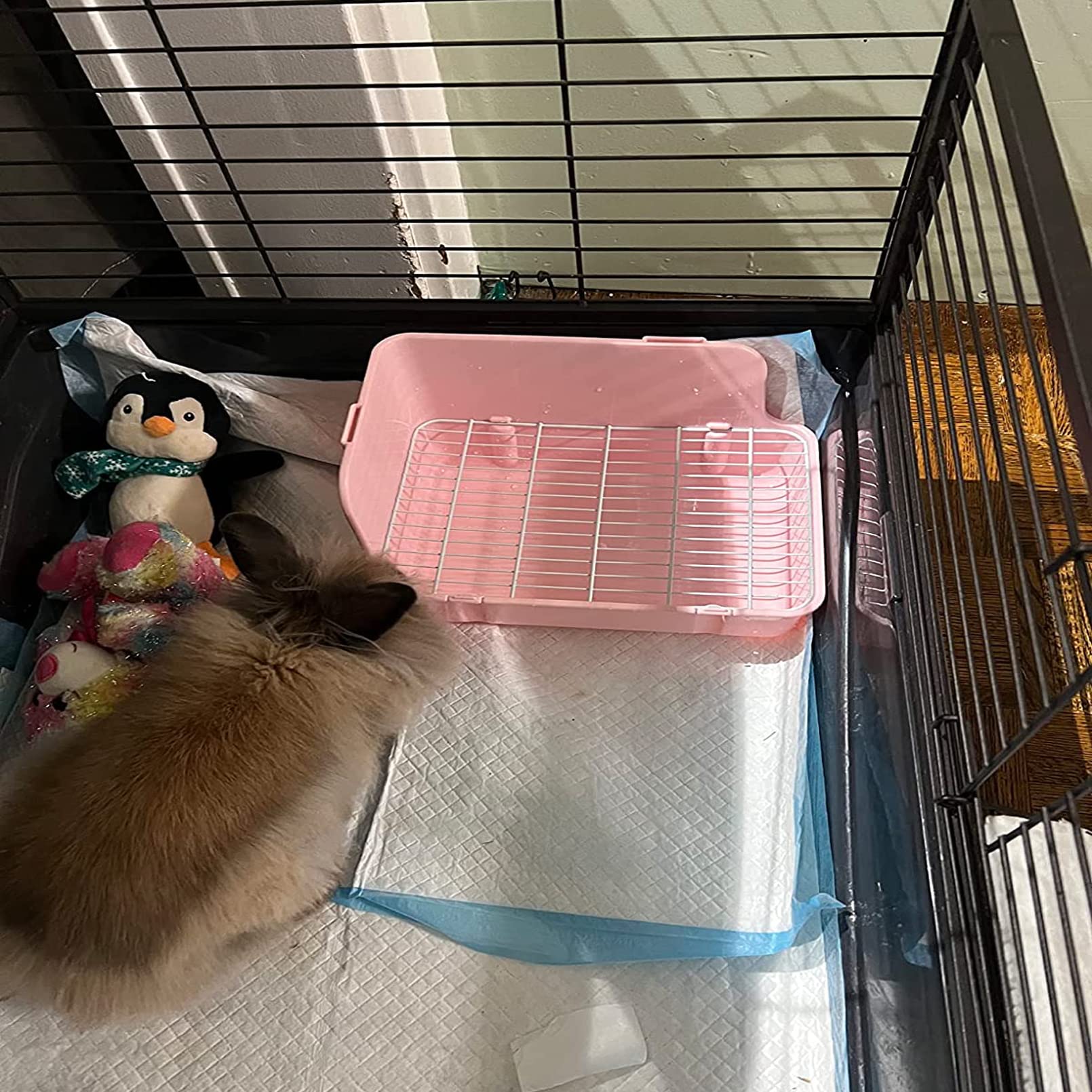 MUYG potty training kit with dustpan and brush for easy cleanup