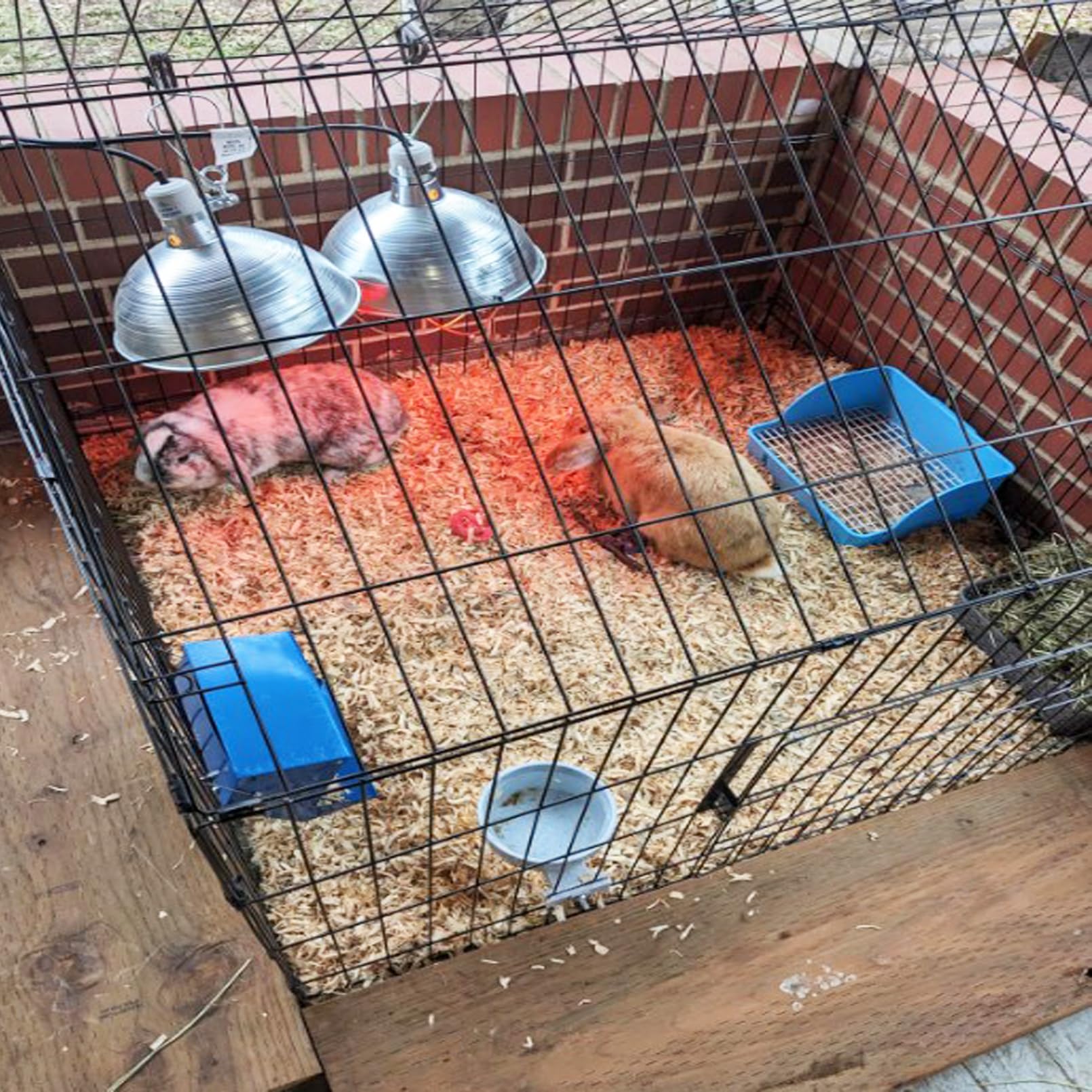 MUYG rabbit litter box square design maximizes corner space