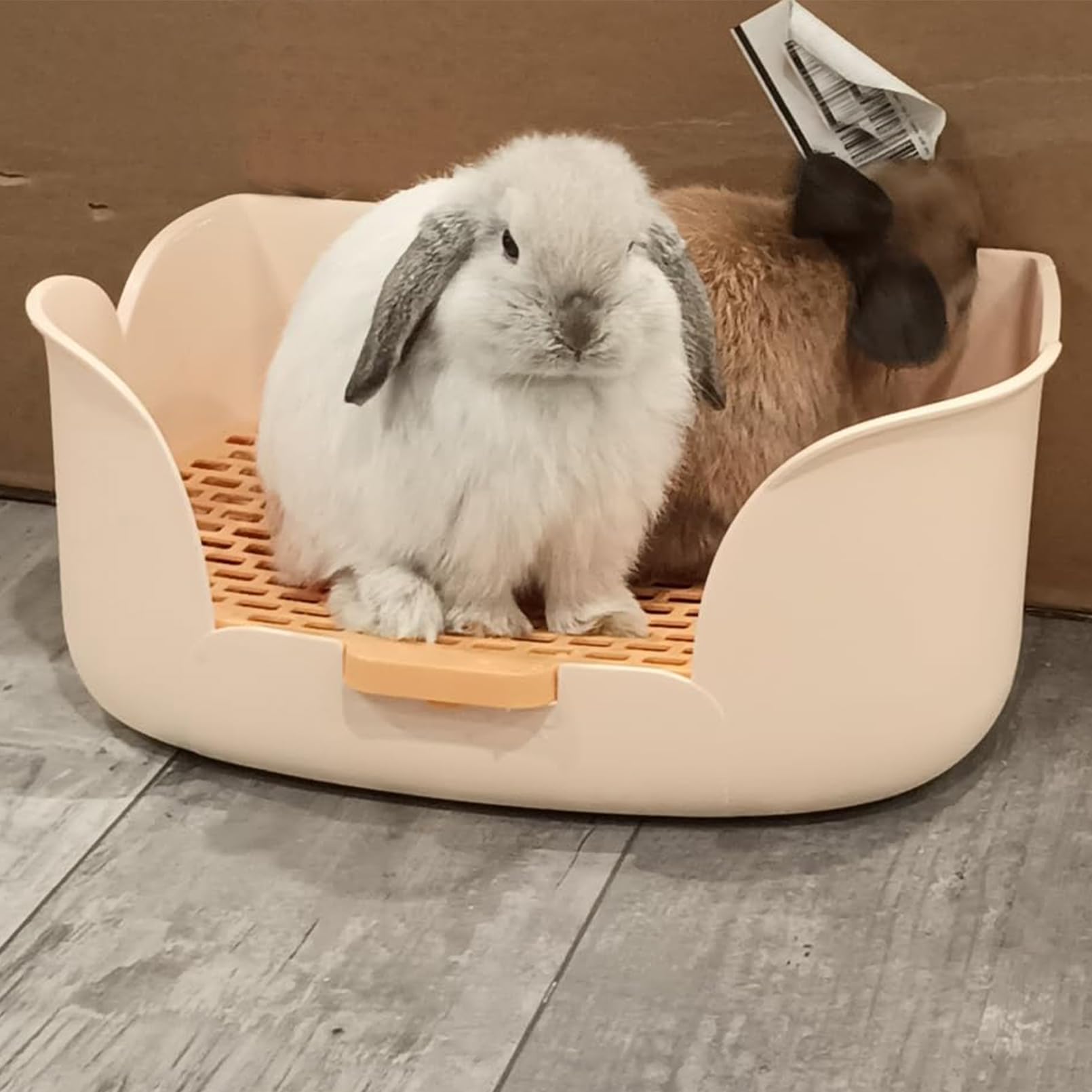 MUYG rabbit litter box top panel removal shows easy cleaning access and quick refilling