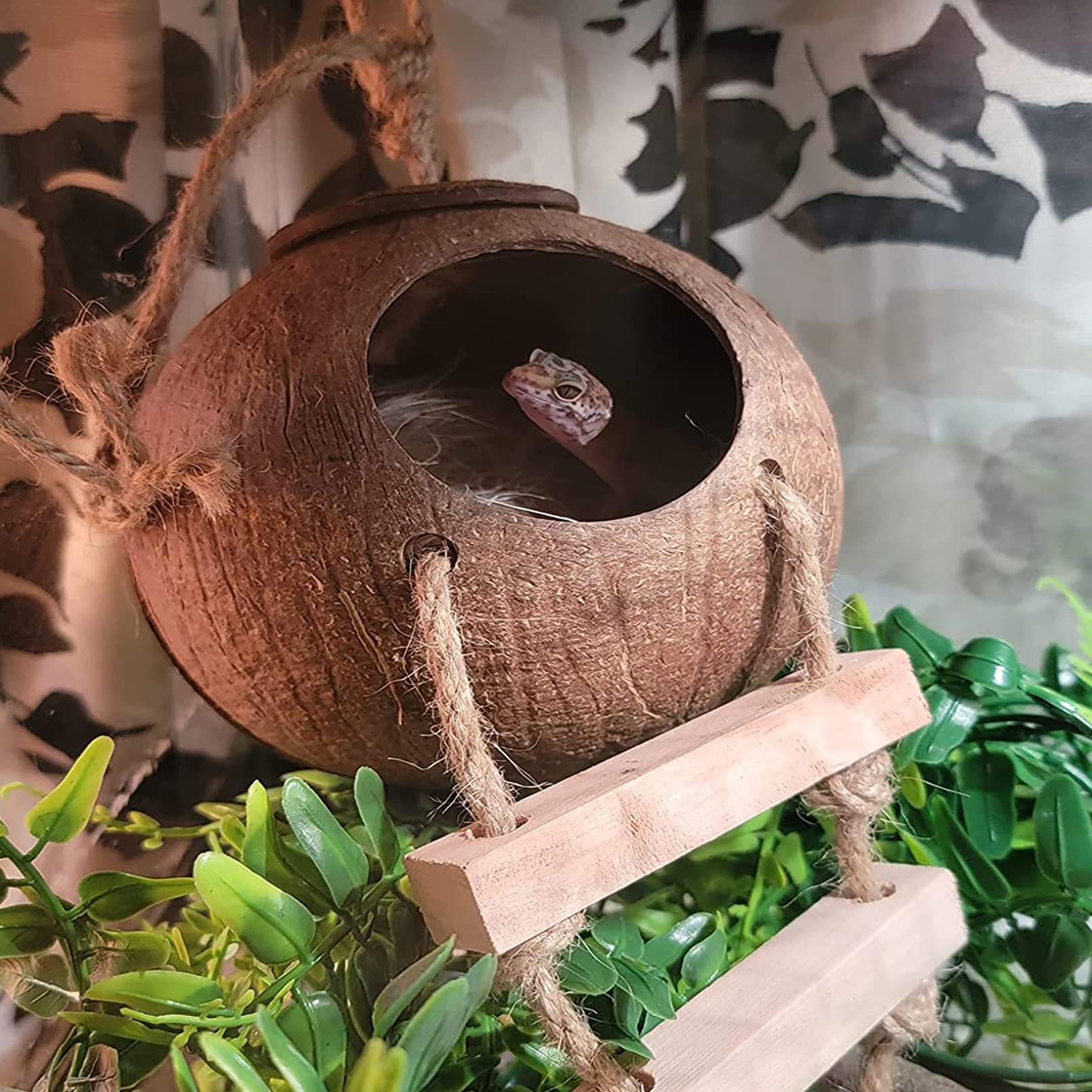 MUYG reptile hammock setup supports exercise and comfortable lounging in habitat.