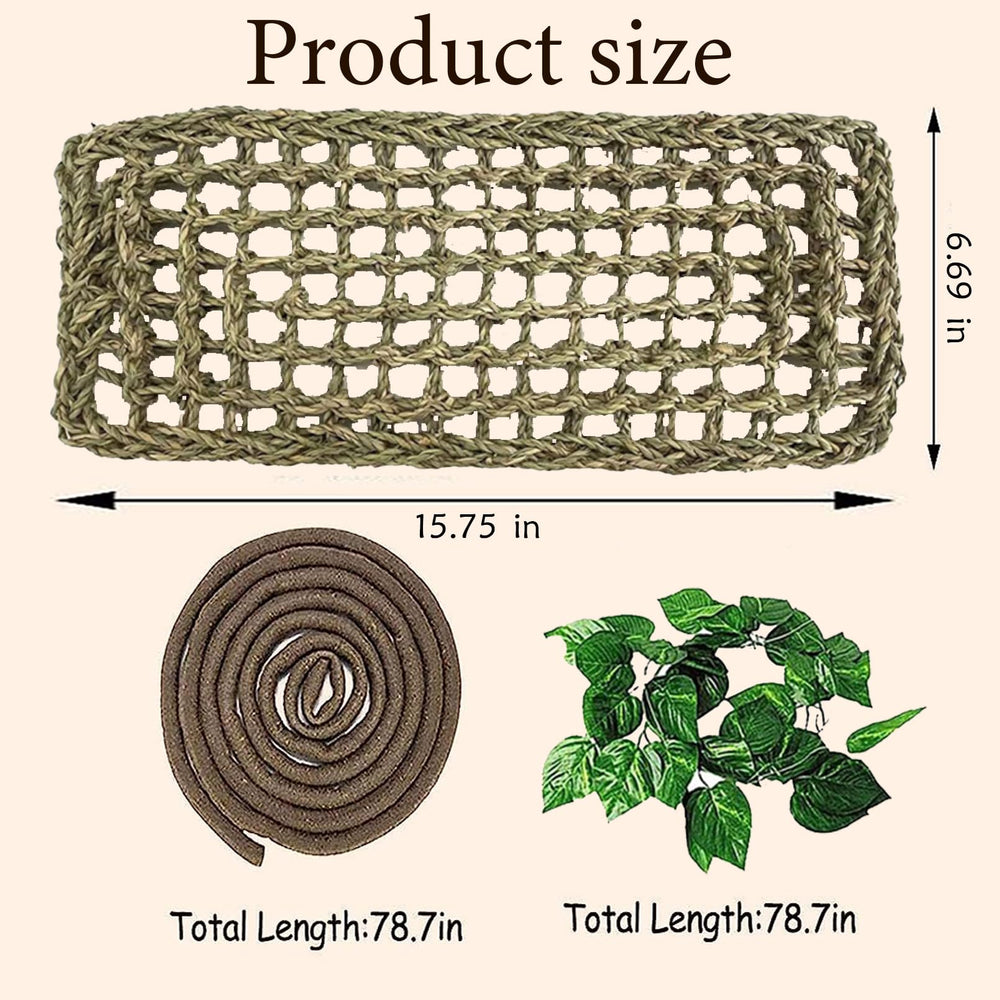 MUYG reptile plant leaves add natural color and vertical climbing options.