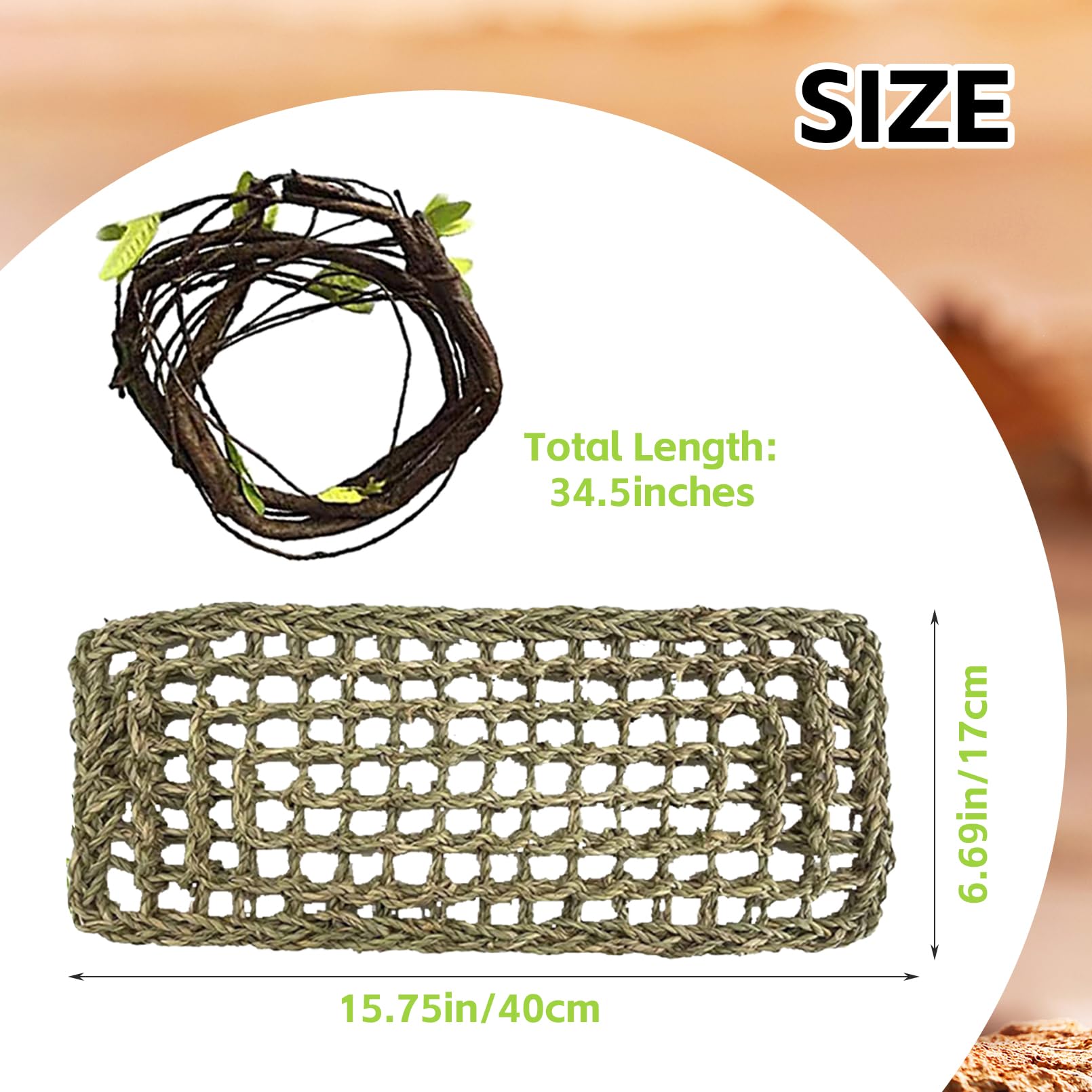 MUYG reptile vine decoration adds natural color and climbing opportunity.