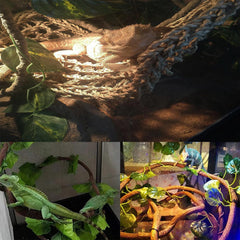 MUYG reptile vine decoration creates climbing paths and hiding nooks.