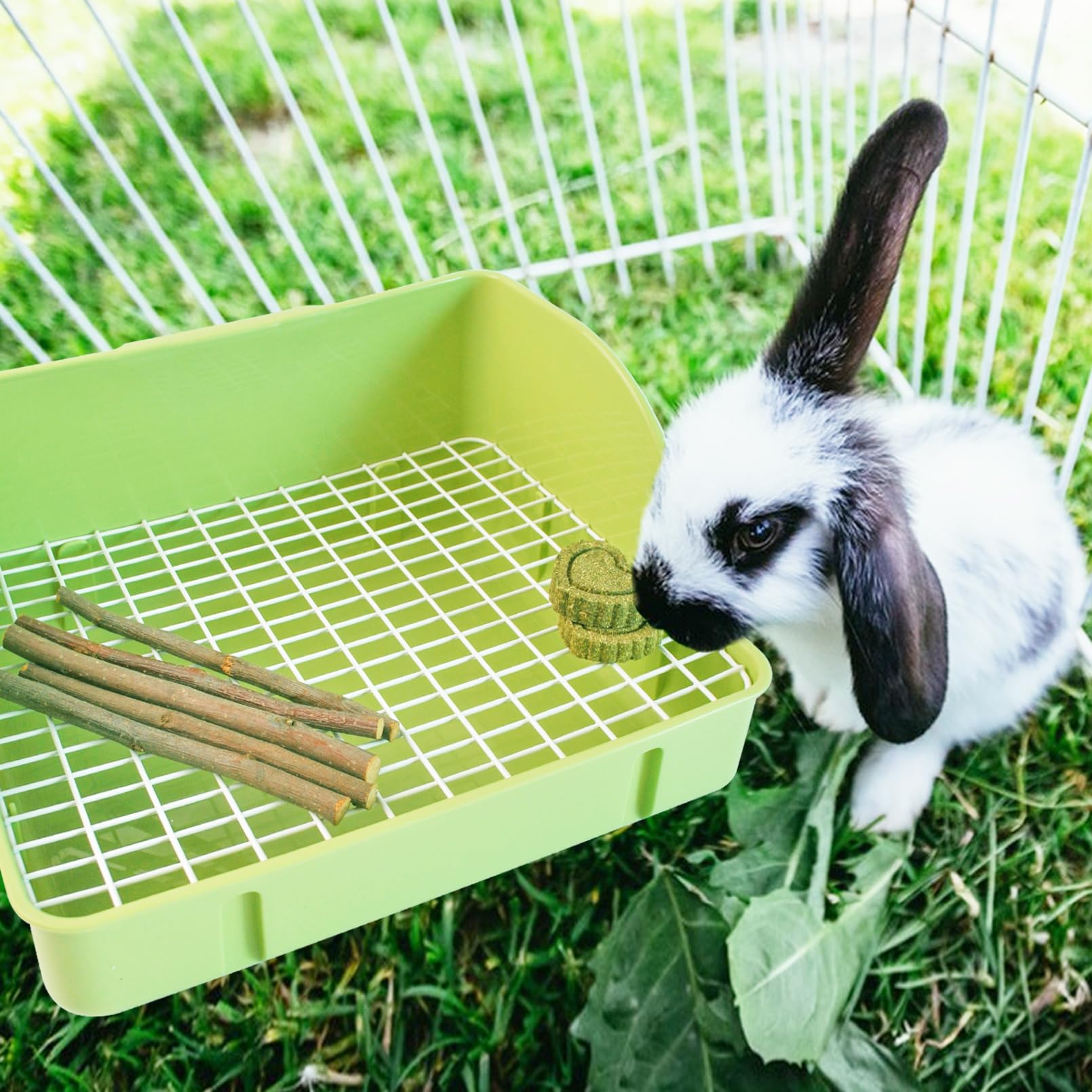 MUYG small animal toilet guardrail design green prevents spill and mess