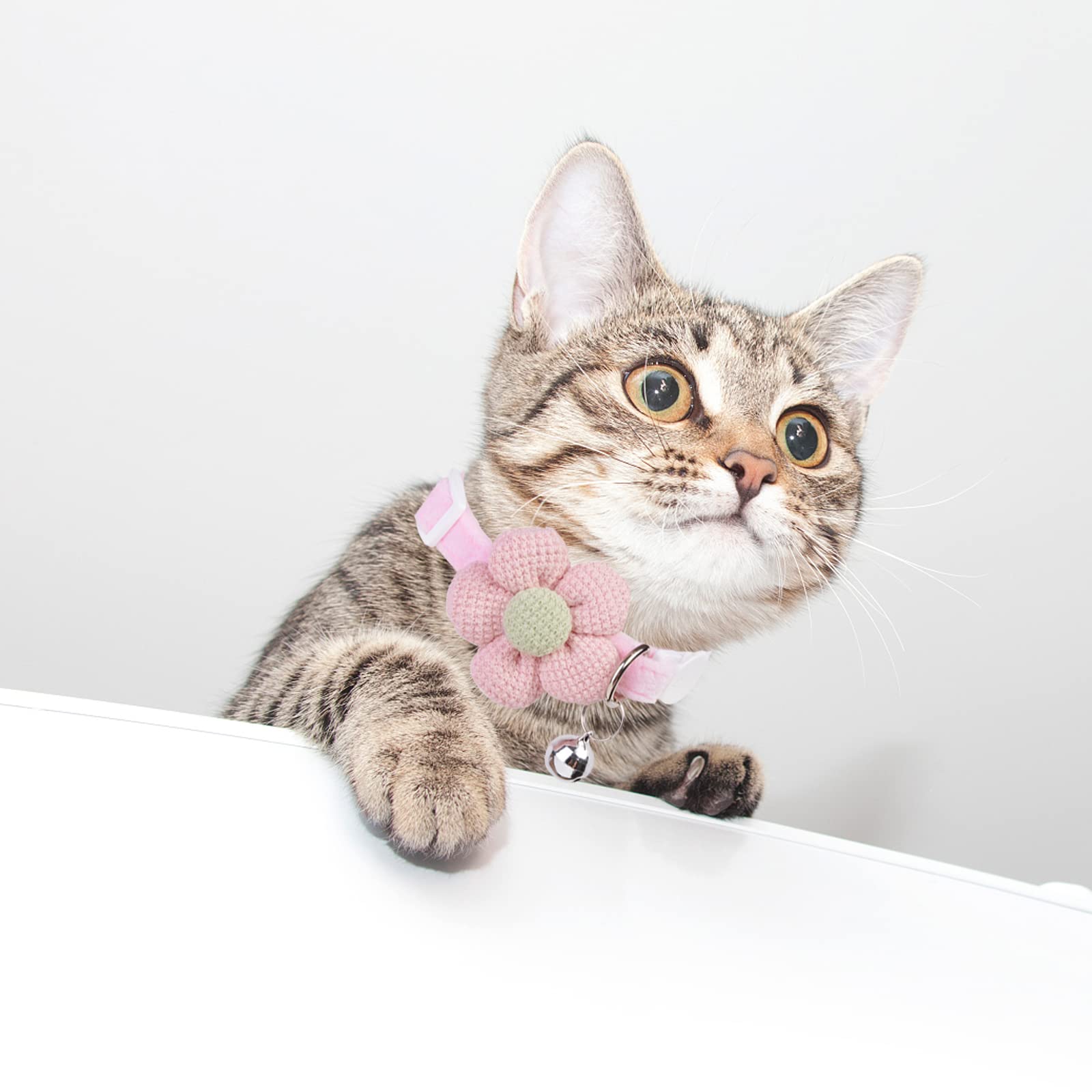 MUZIEBA pink cat collar on cat demonstrating everyday wear and look.