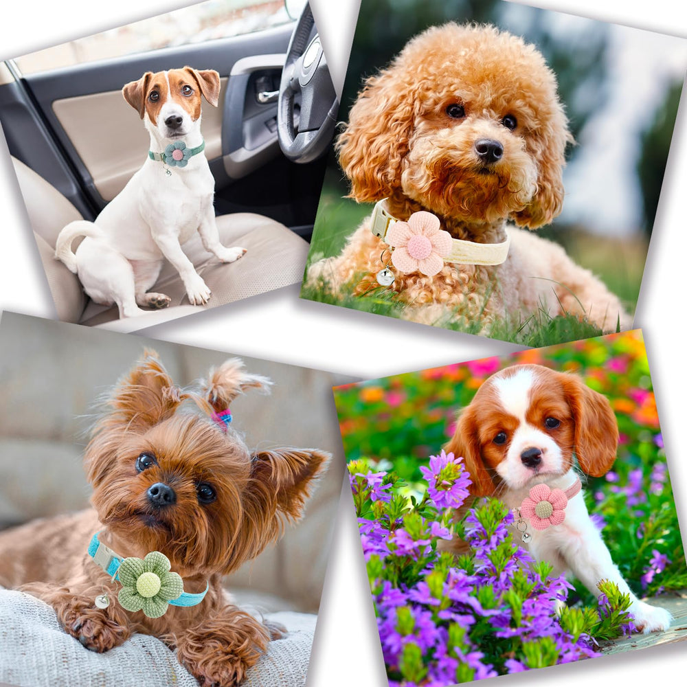 MUZIEBA small dog collar daily wear pink ideal for photo-worthy moments
