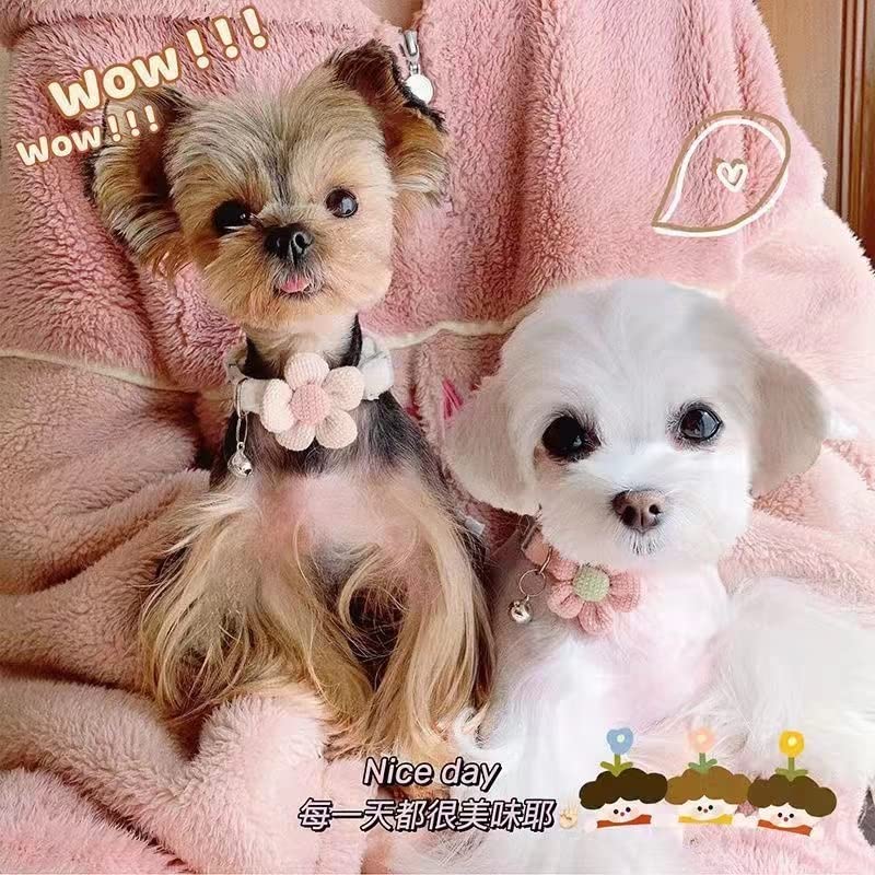 MUZIEBA small dog collar during park walk pink supports easy identification and charm
